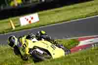 Evening Adv_Mid Group Yellow Bikes
